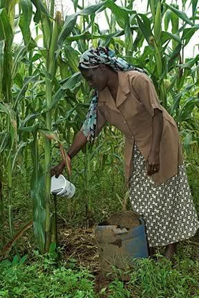 Farm Images